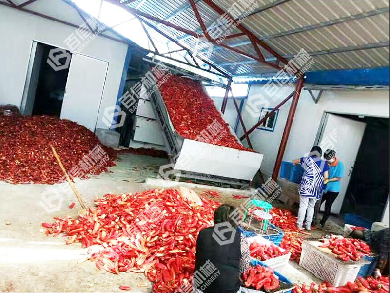 建寧辣椒烘干機
